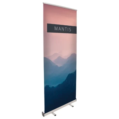 mantis-2-main-81730